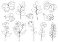 Set spring black and white coloring flowers birds insects vector illustrationSet spring flowers insects black and white coloring v